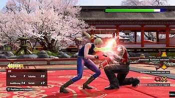 Screenshot von Virtua Fighter 5 Ultimate Showdown
